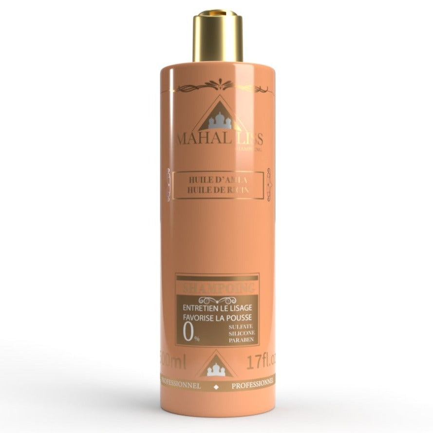 KIT MAHAL LISS NANO INDIEN SHAMPOING , MASQUE ET SPRAY LISSANT THERMO